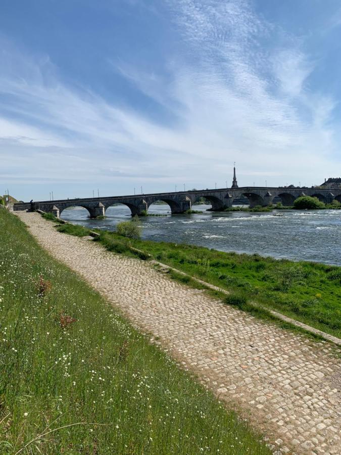 T2 - Au Calme Royaloire - Chateau A Vue - Luxe, Renove Blois Exterior foto